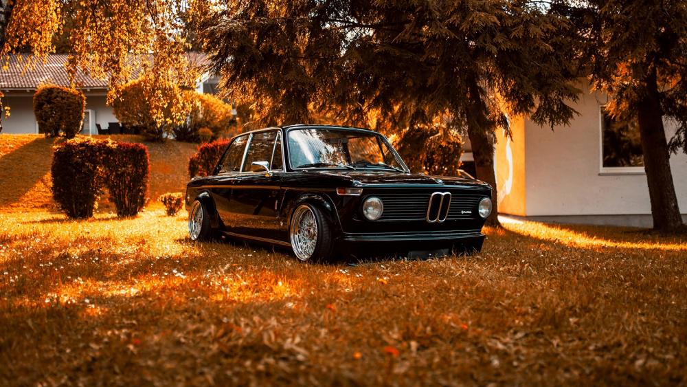 Classic BMW wallpaper