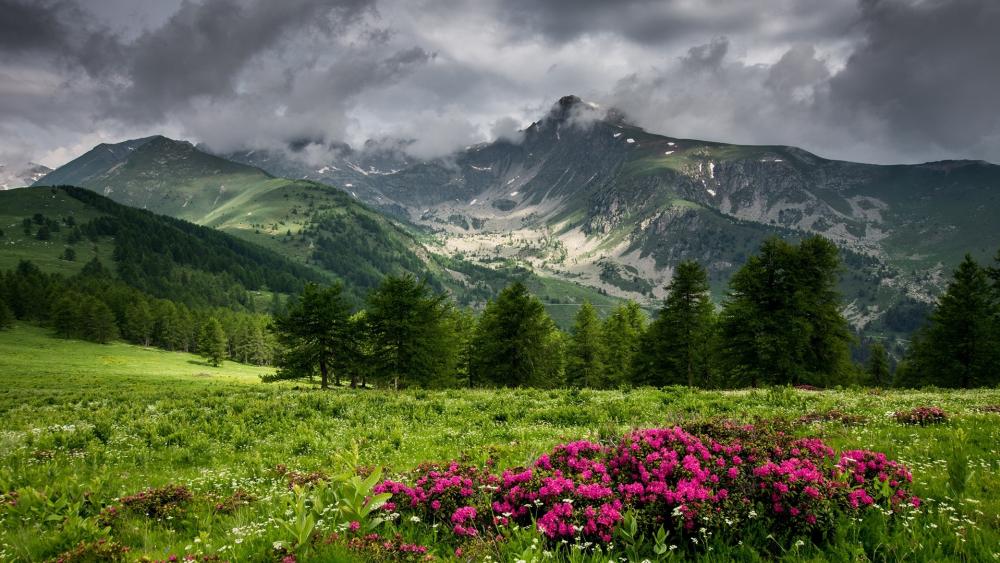 Rain clouds above the mountains wallpaper