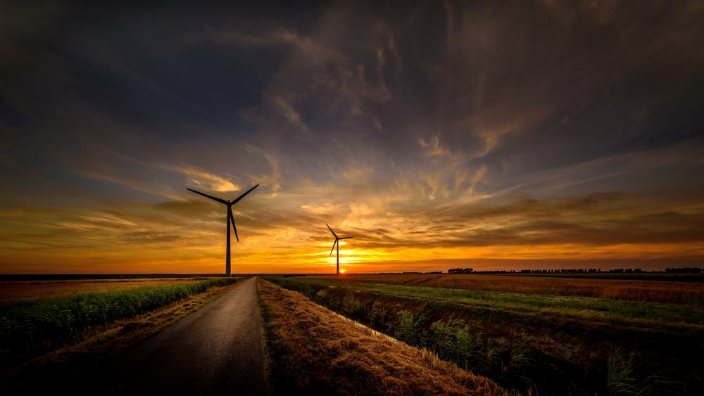 Wind turbines in the sunrise wallpaper