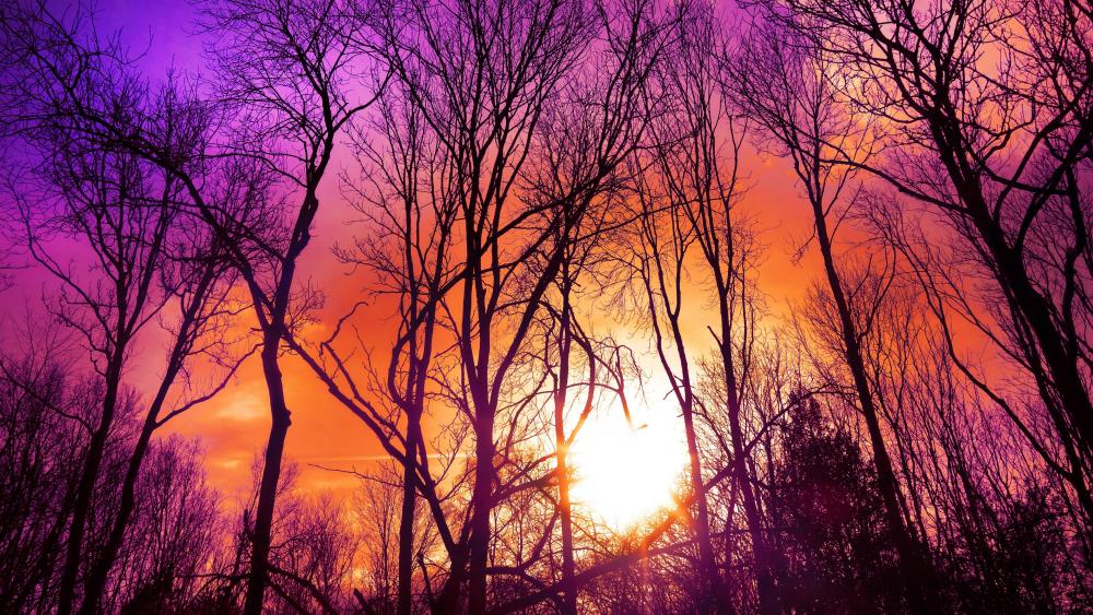 Purplish sunset wallpaper