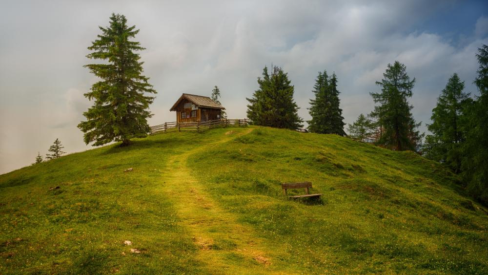 A Trail to a little hut wallpaper