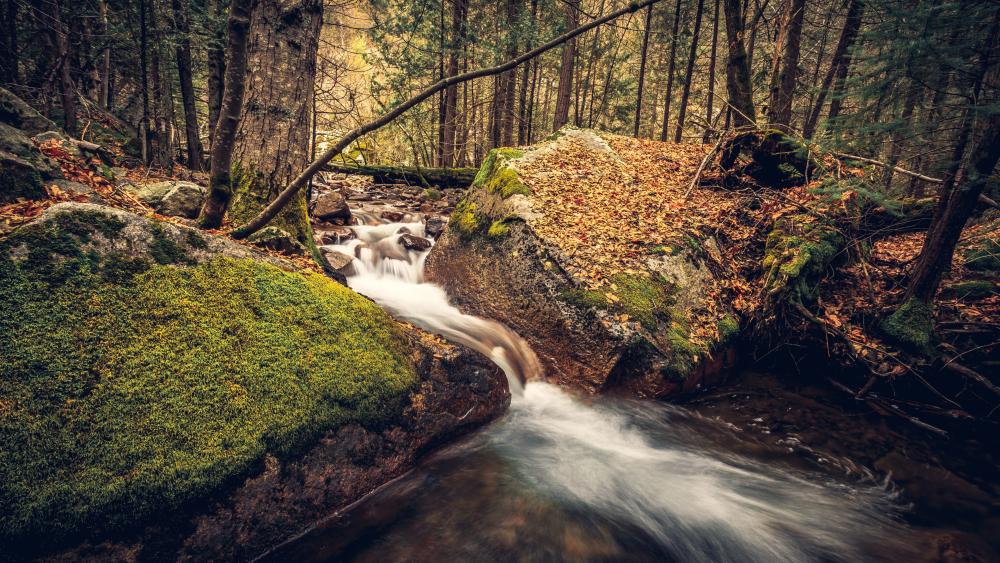 Creek among the mossy crags wallpaper