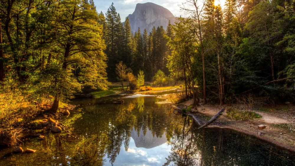Half Dome from Merced River (Yosemite National Park) wallpaper