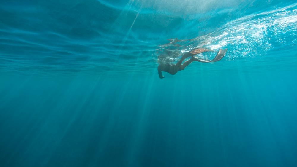 Underwater view wallpaper