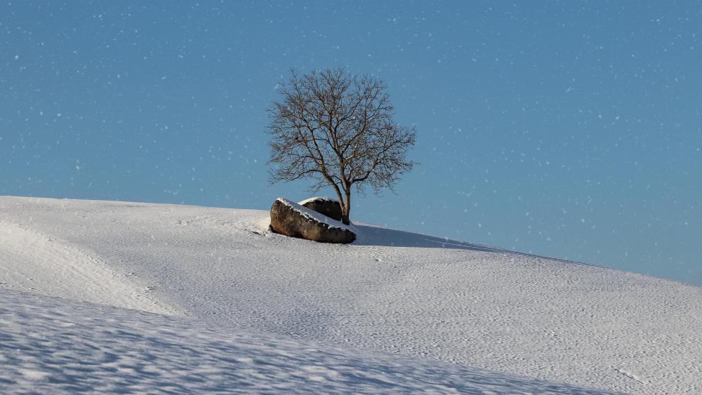 Lonely Tree wallpaper
