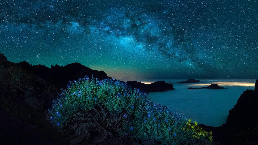 Milky way and polar lights wallpaper