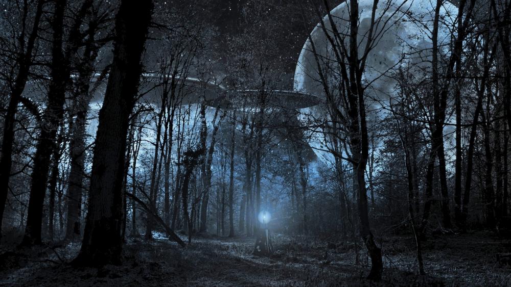 Flying saucer in the forest at full moon wallpaper