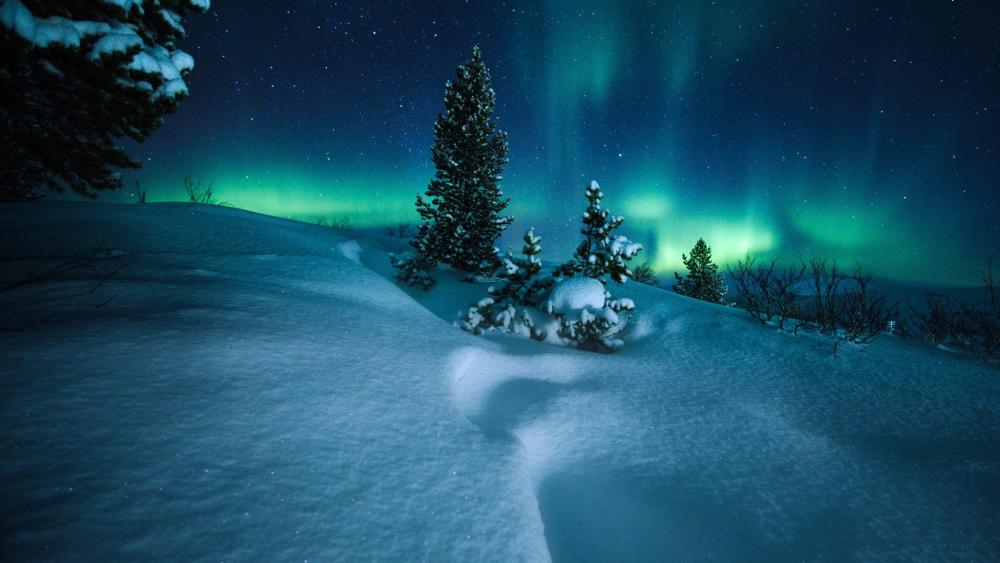 Polar lights at the arctic circle wallpaper