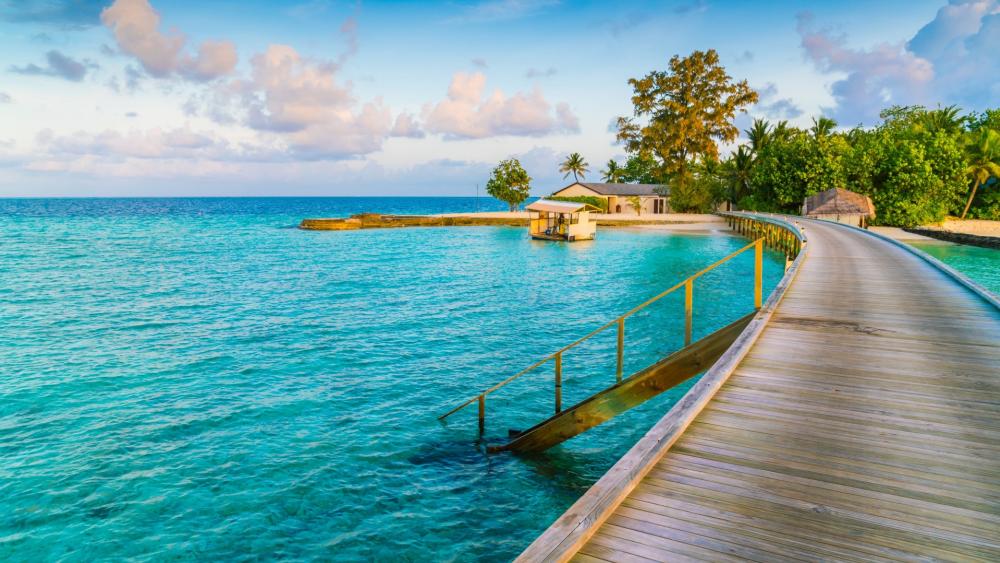 Tropical landscape wallpaper