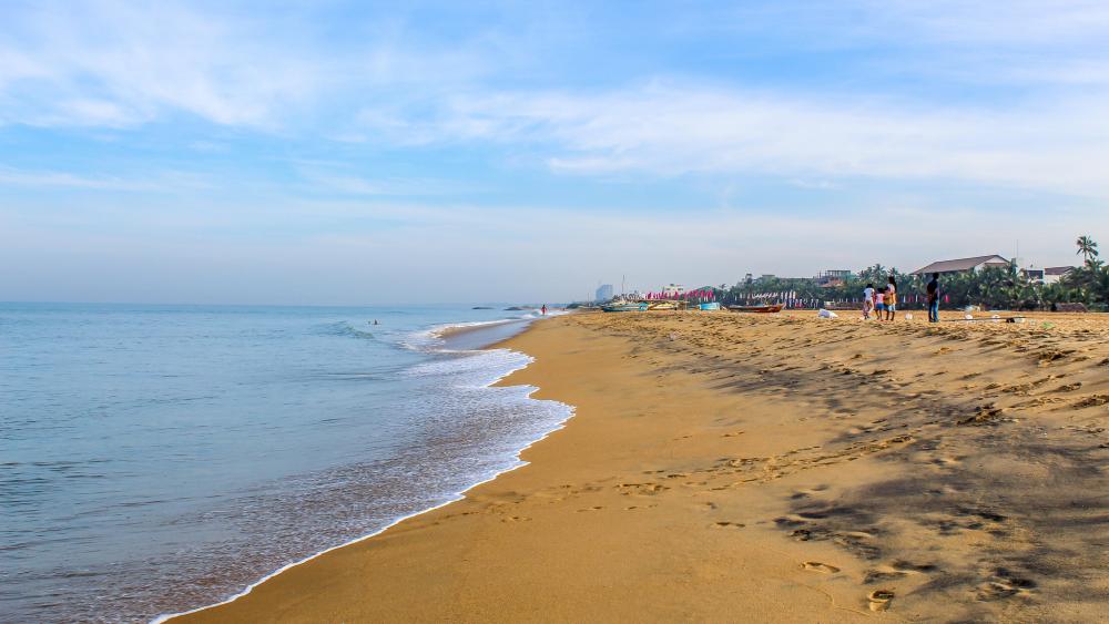 browns beach hotel negombo official site