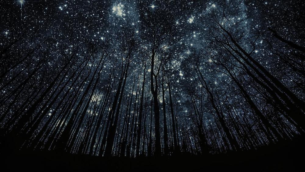 Starry sky low angle view wallpaper