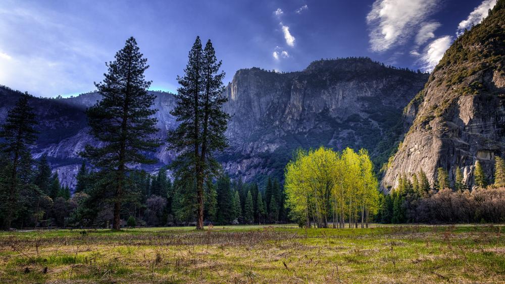 Yosemite National Park landscape wallpaper