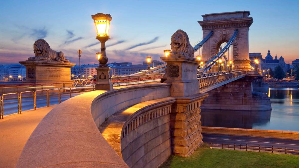 Chain Bridge lions (Budapest, Hungray) wallpaper