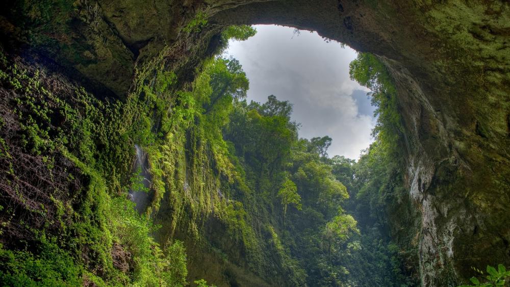Cavernas del Rio Camuy National Park (Puerto Rico) wallpaper