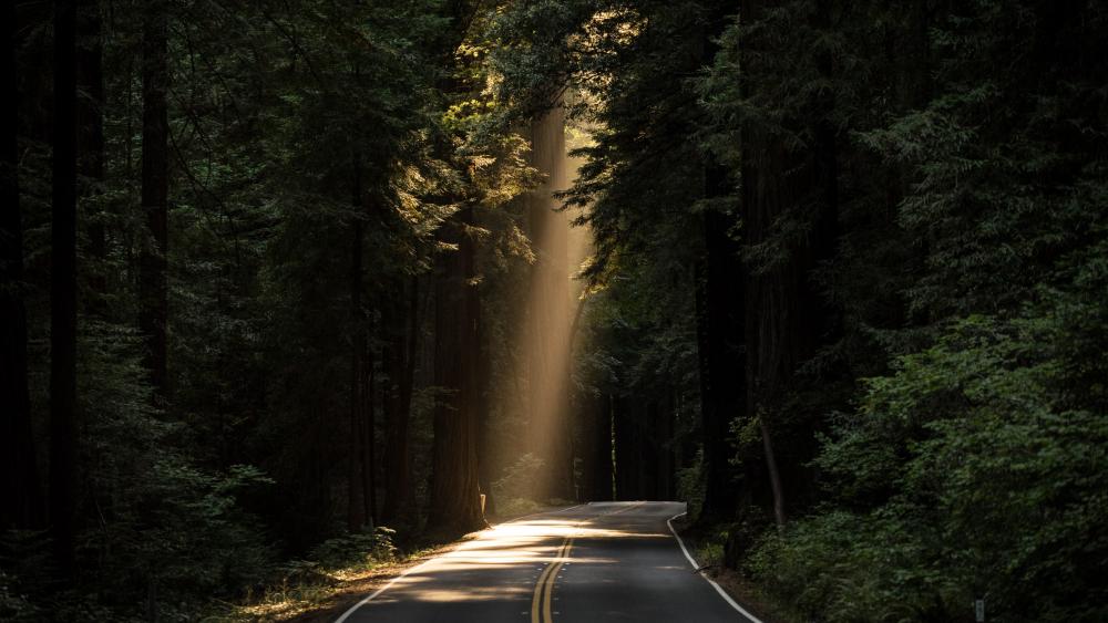 Ray of light wallpaper
