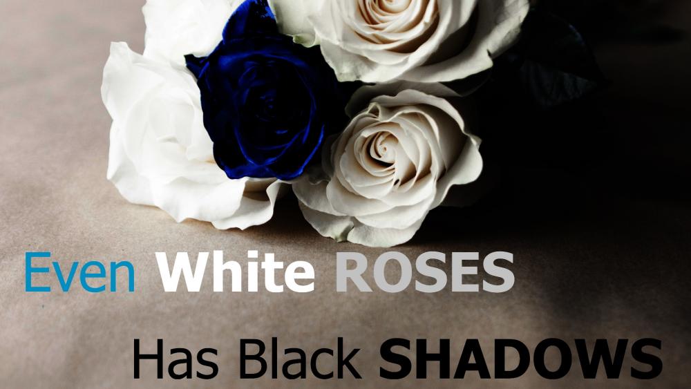 Even white roses has black shadows wallpaper
