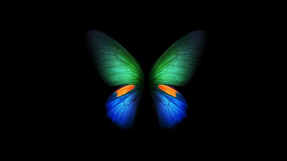 Butterfly 🦋 wallpaper