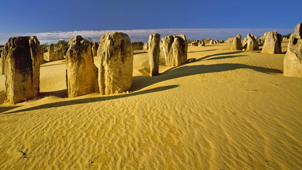 The Pinnacles Desert (Nambung National Park) wallpaper