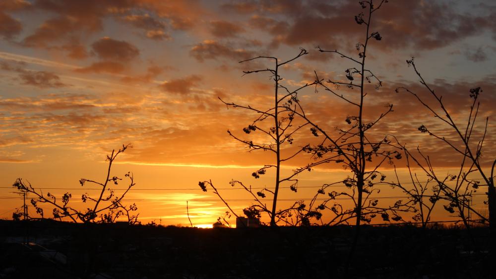 Sunset wallpaper