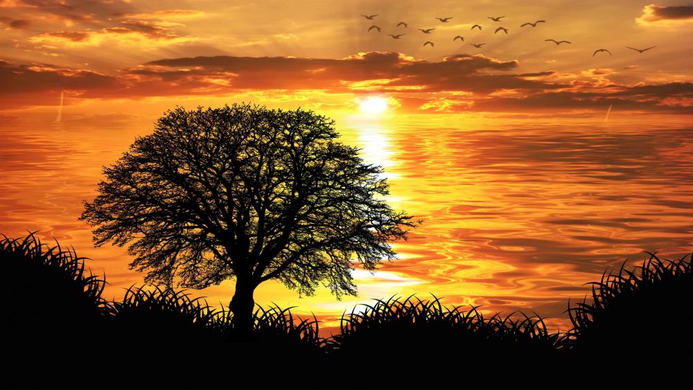 Solitary tree silhouette in the sunset wallpaper