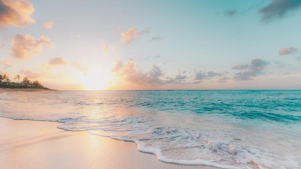 Morning Beach wallpaper