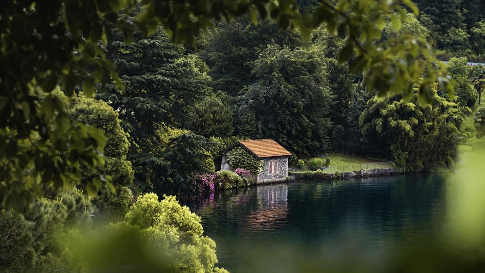 Домик на берегу озера в лесу фото