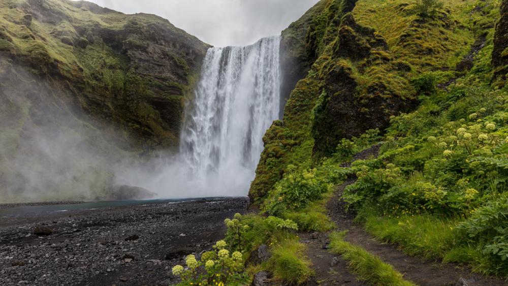 Skogafoss waterfall in summer, Iceland wallpaper