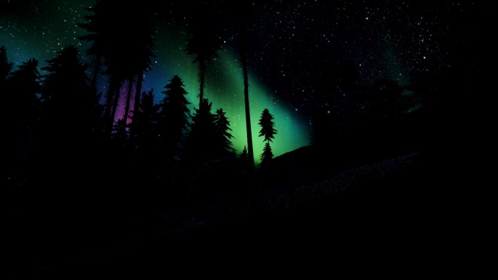 Polar lights above the pine forest wallpaper
