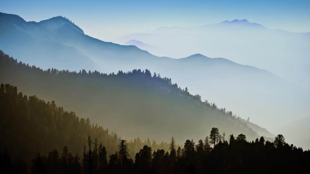 Foggy ridges wallpaper
