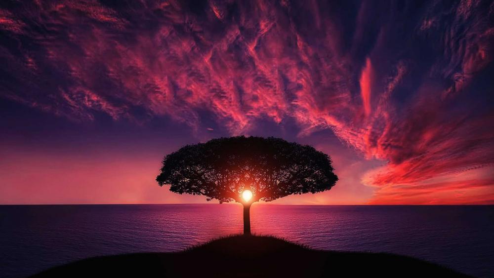 Solitary tree in the purple sunset wallpaper