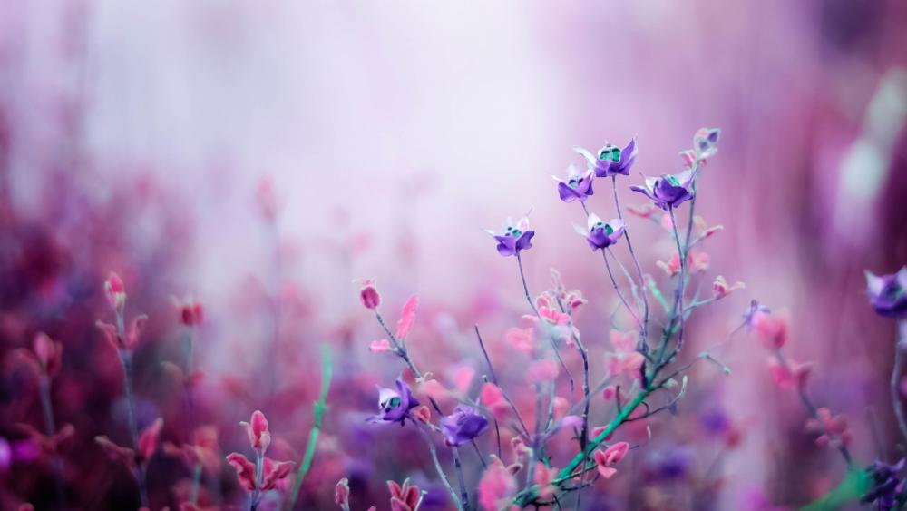 Blurred flowers wallpaper