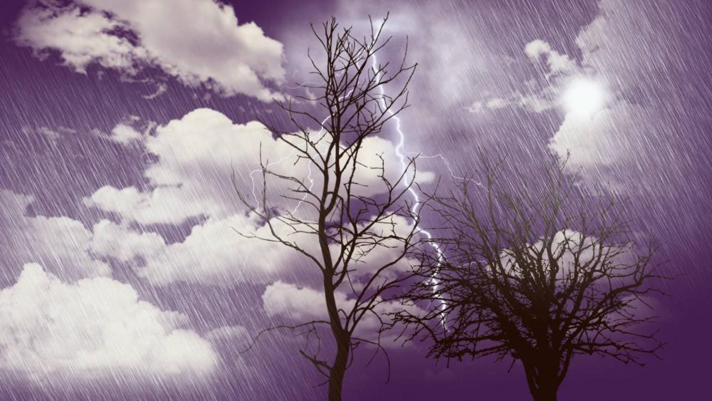 Through the storm wallpaper
