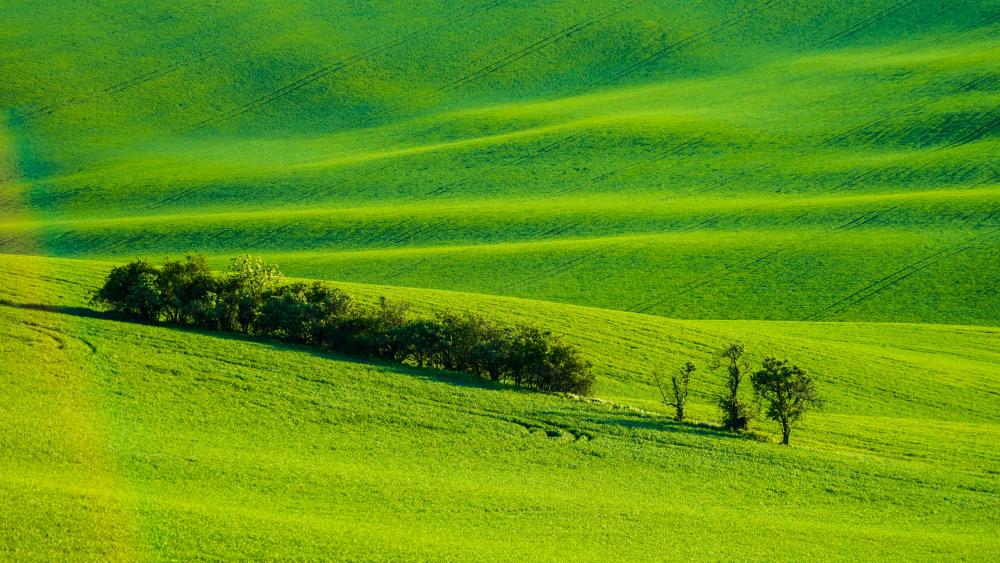Moravian Tuscany (Czech Republic) wallpaper