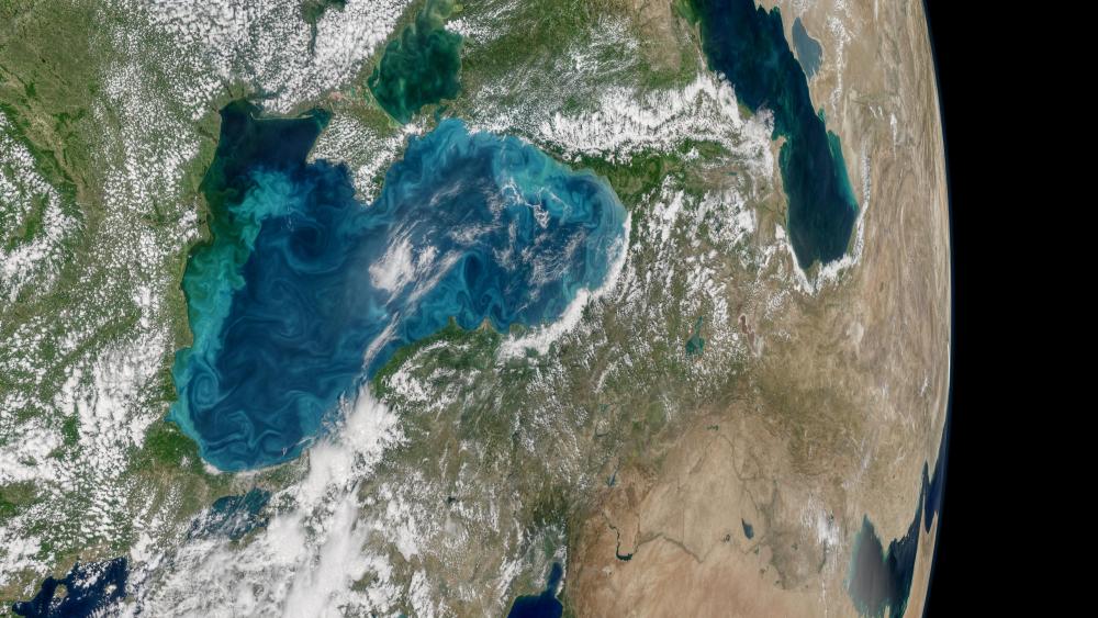 Turquoise Swirls in the Black Sea wallpaper