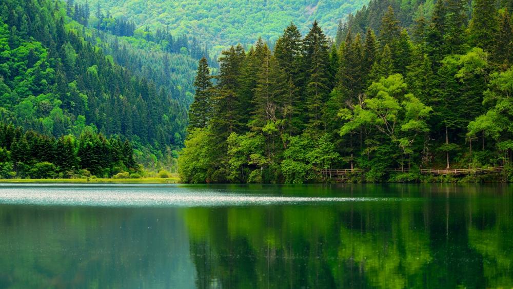 Wallpaper from nature category