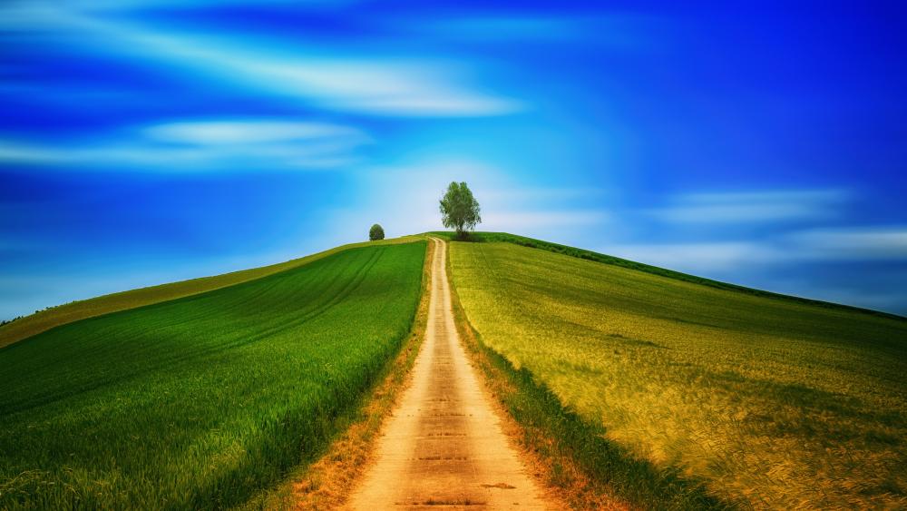 Road to a hill wallpaper
