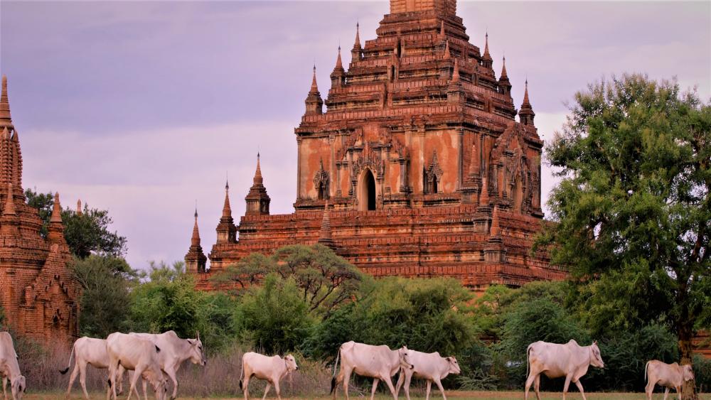 Ancient Pagoda of Bagan (Myanmar) wallpaper