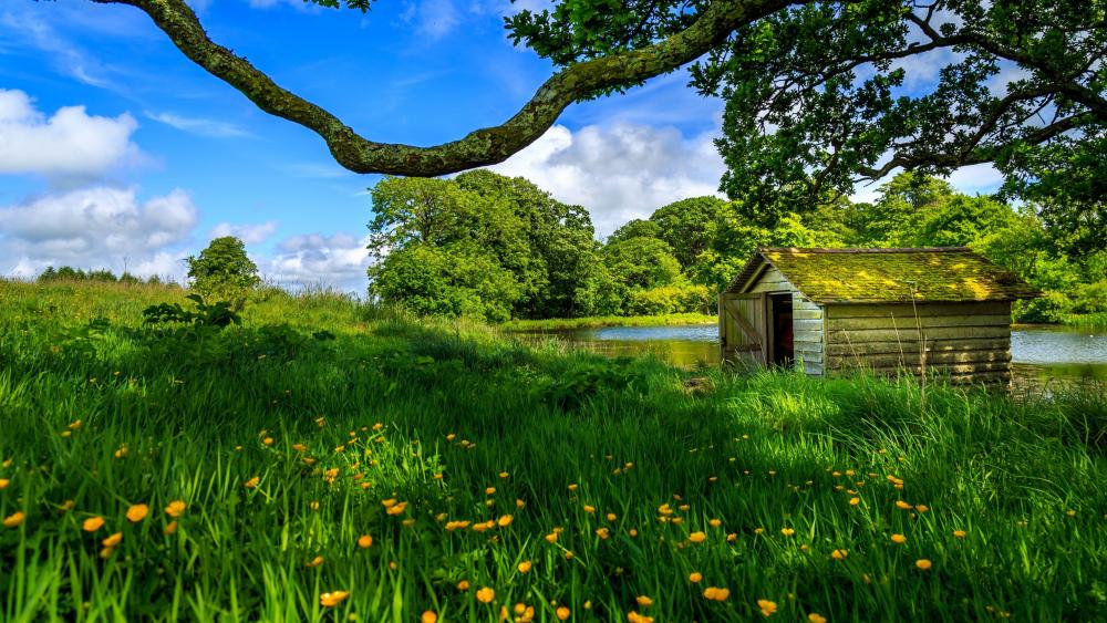 A shanty by the lake wallpaper