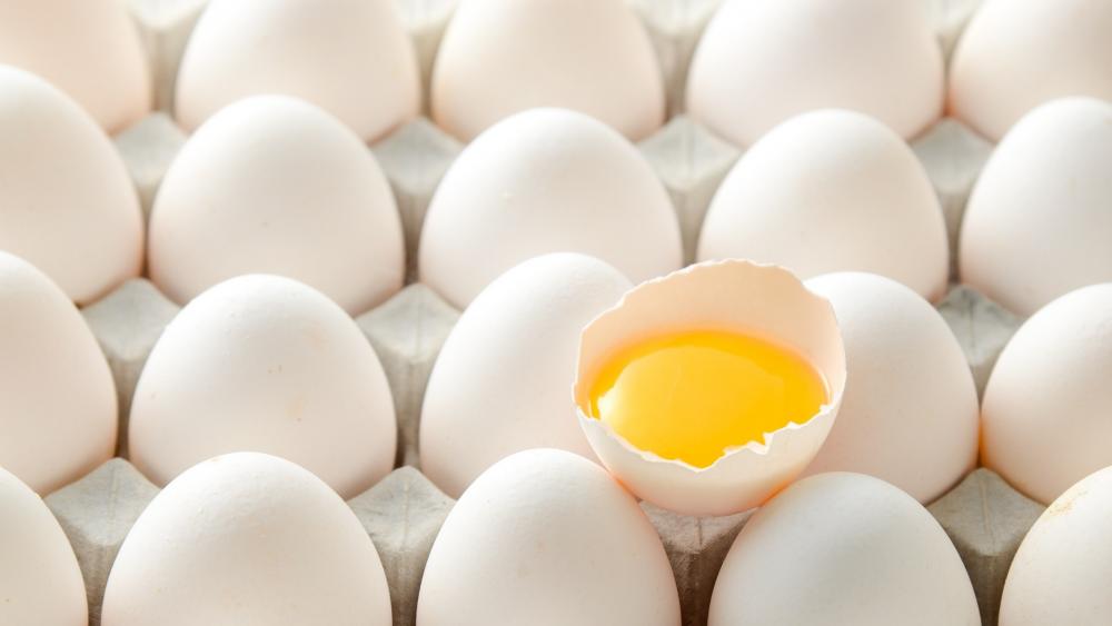 egg food wallpaper
