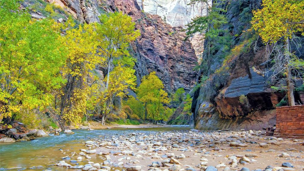 Zion National Park, Virgin River wallpaper - backiee