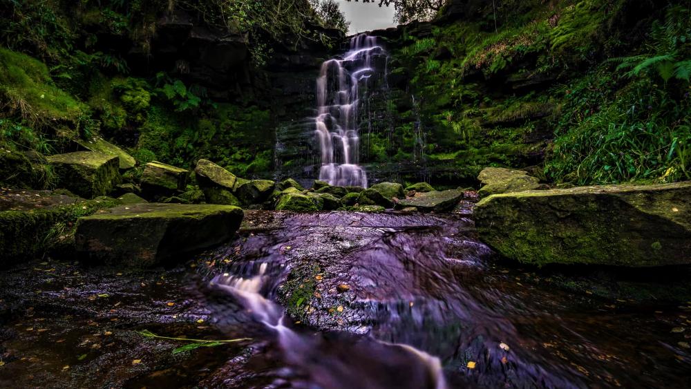 Waterfall in the green nature wallpaper