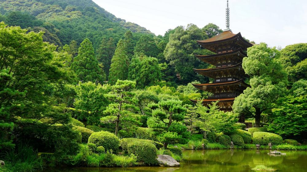 Ruriko-ji Temple, Japan wallpaper