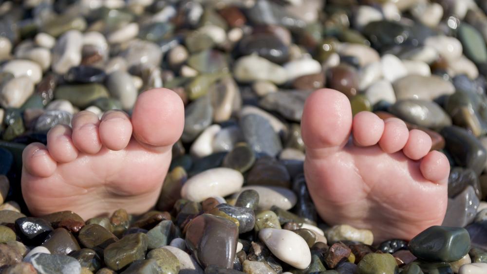 Toes from the pebble wallpaper