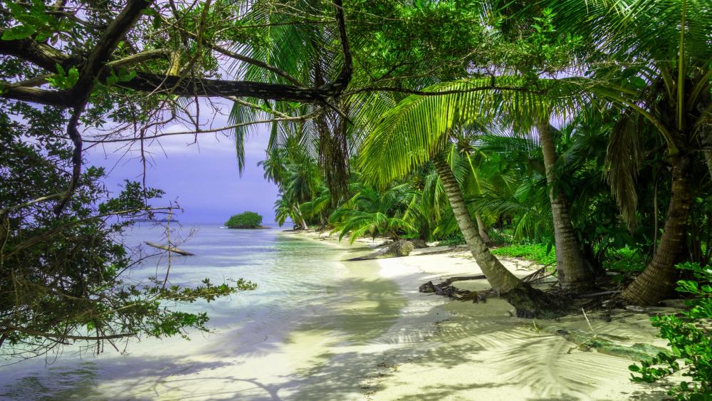 Caribbean beach in Panama wallpaper