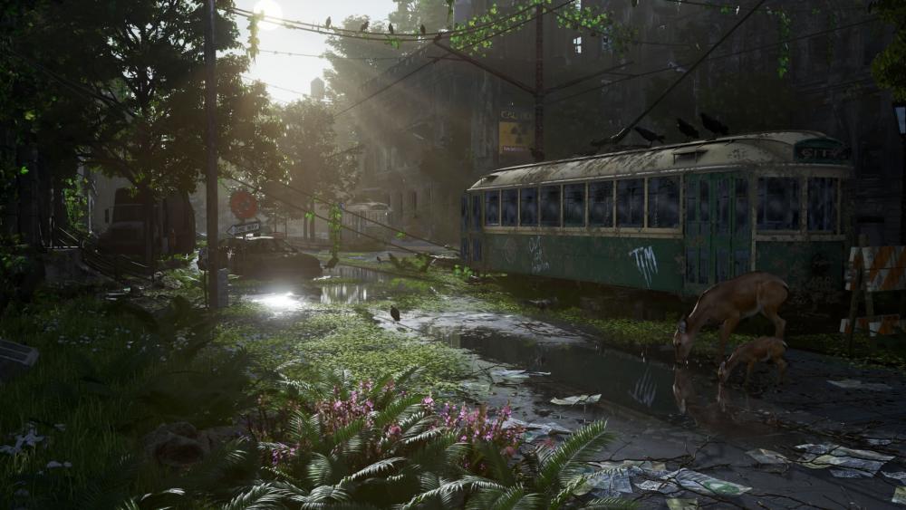 Post Apocalyptic Nature wallpaper