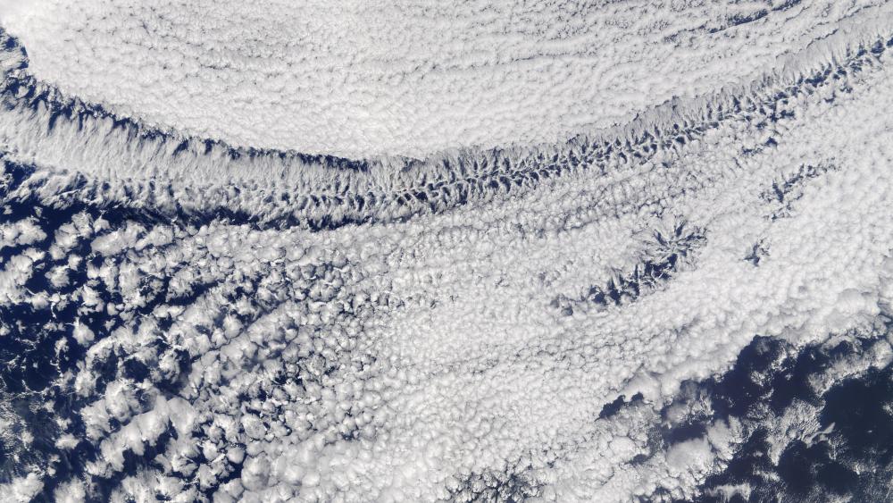 Open- and Closed-Celled Clouds over the Pacific wallpaper