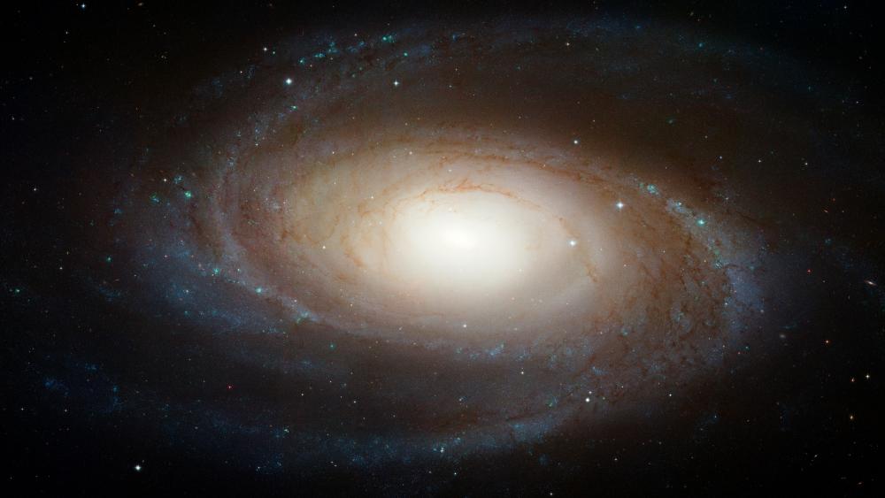 Hubble Photographs Grand Design Spiral Galaxy M81 wallpaper