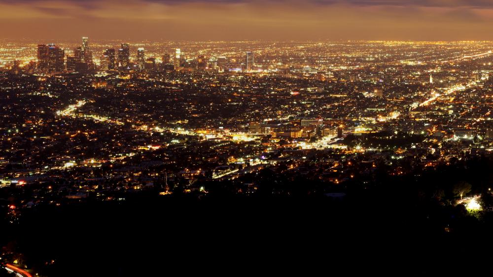 Los Angeles Cityscape wallpaper