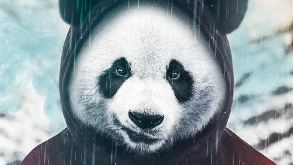 Gangster Panda wallpaper