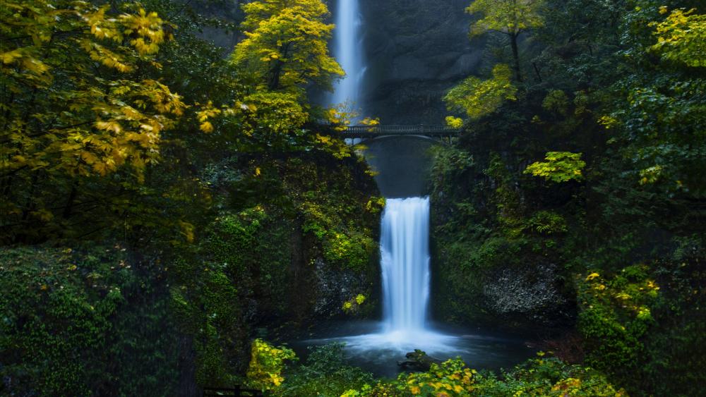 Multnomah Falls - backiee